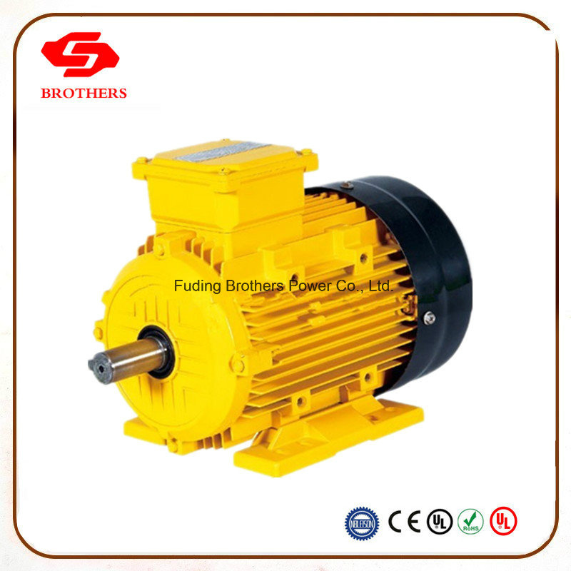 Ms Series Three Phase Crane Motor