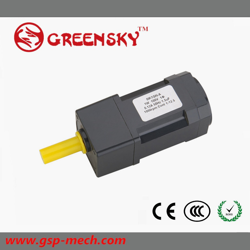 3W 1pH110 Micro AC Gear Motor