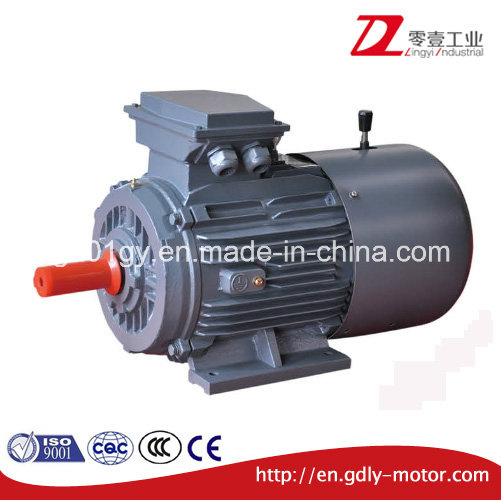 Yej Electromagnetic Brake Three Phase Asynchronous Motor 75kw