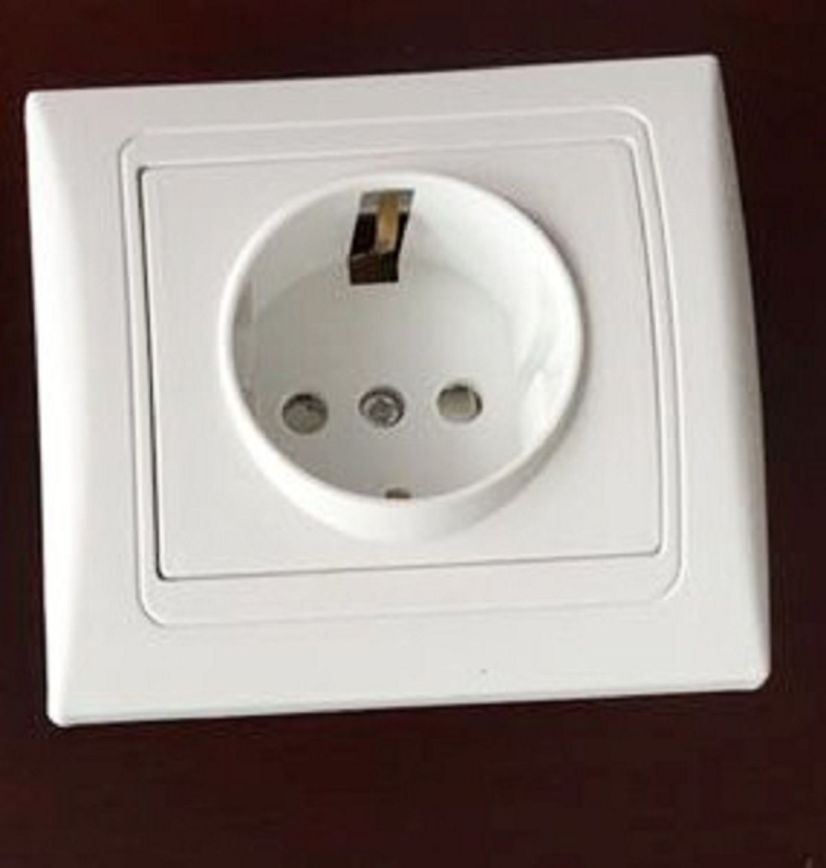 European Style Socket with Earthing with Protection G2028X