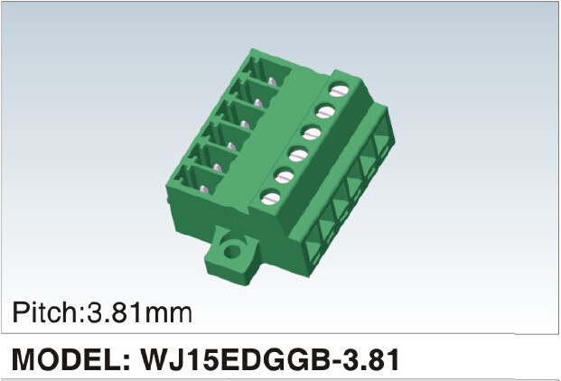 Pluggable/Plug-in Terminal Block with Conductor (WJ15EDGGB-3.81)