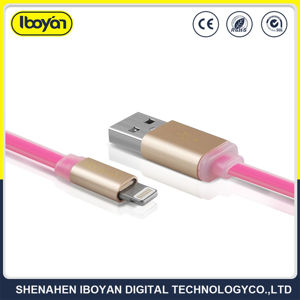 Custom Universal Data Lightning Cable USB Mobile Phone Charger