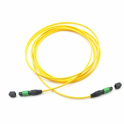 12 Core Singelmode MPO Patch Cord