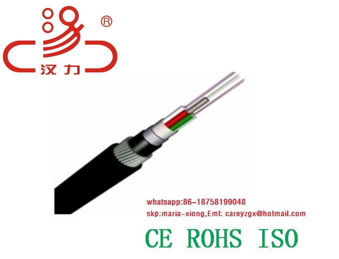 GYTA 2- 48core Optical Fiber Cable