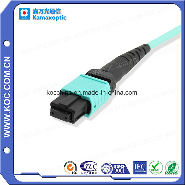 MPO Om3 12cores Fiber Optic Patch-Cord