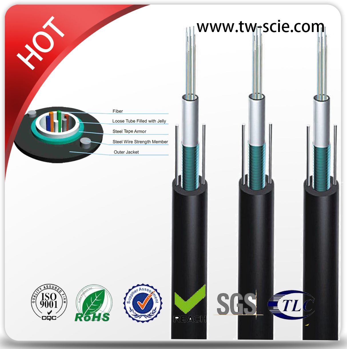 2 Core Single Mode Central Tube Optical Fiber Cable GYXTW