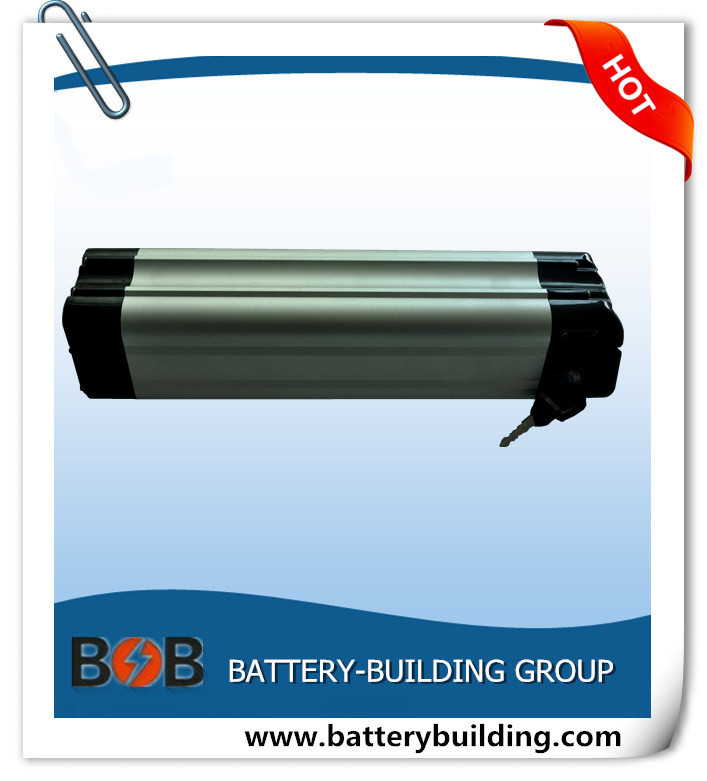 Silver Fish Battery 24V 13ah Lithium Battery Pack