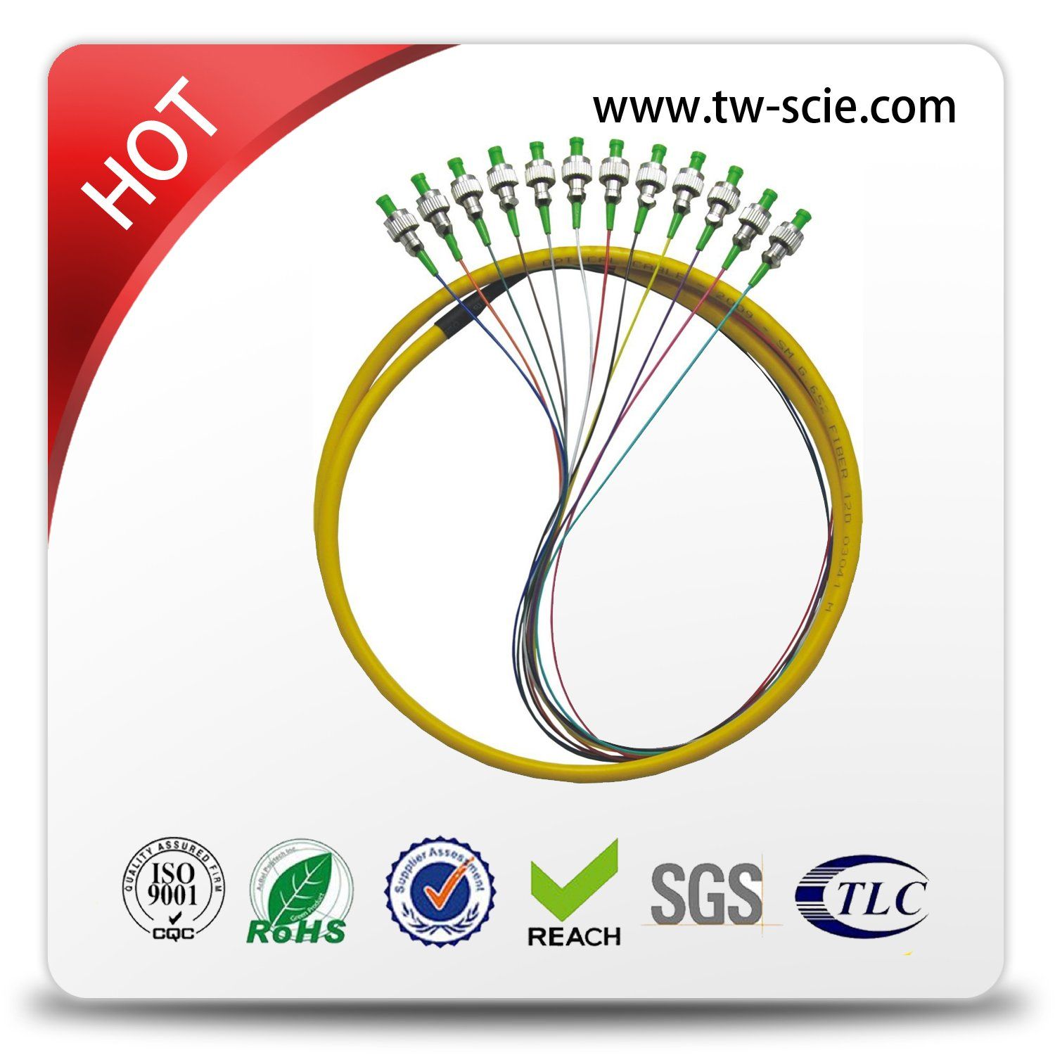 FTTH Gpon/Epon PLC Splitter 24c or 48c Gpon/Epon Fiber Optical ABS Box