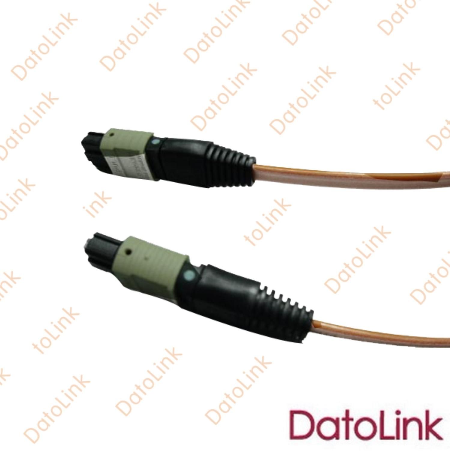 Patch Cord with MTP Connector
