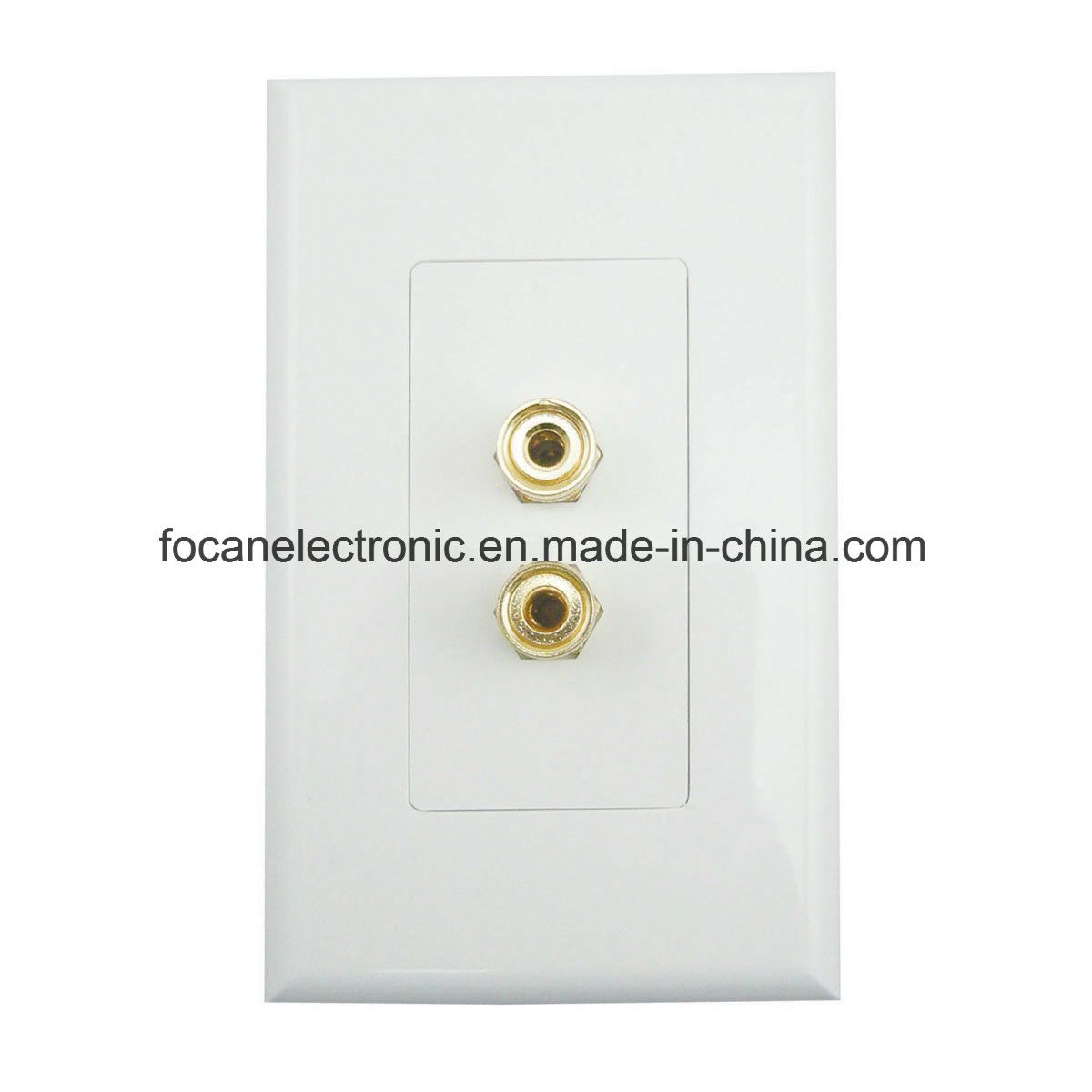 Speaker Wall Plate