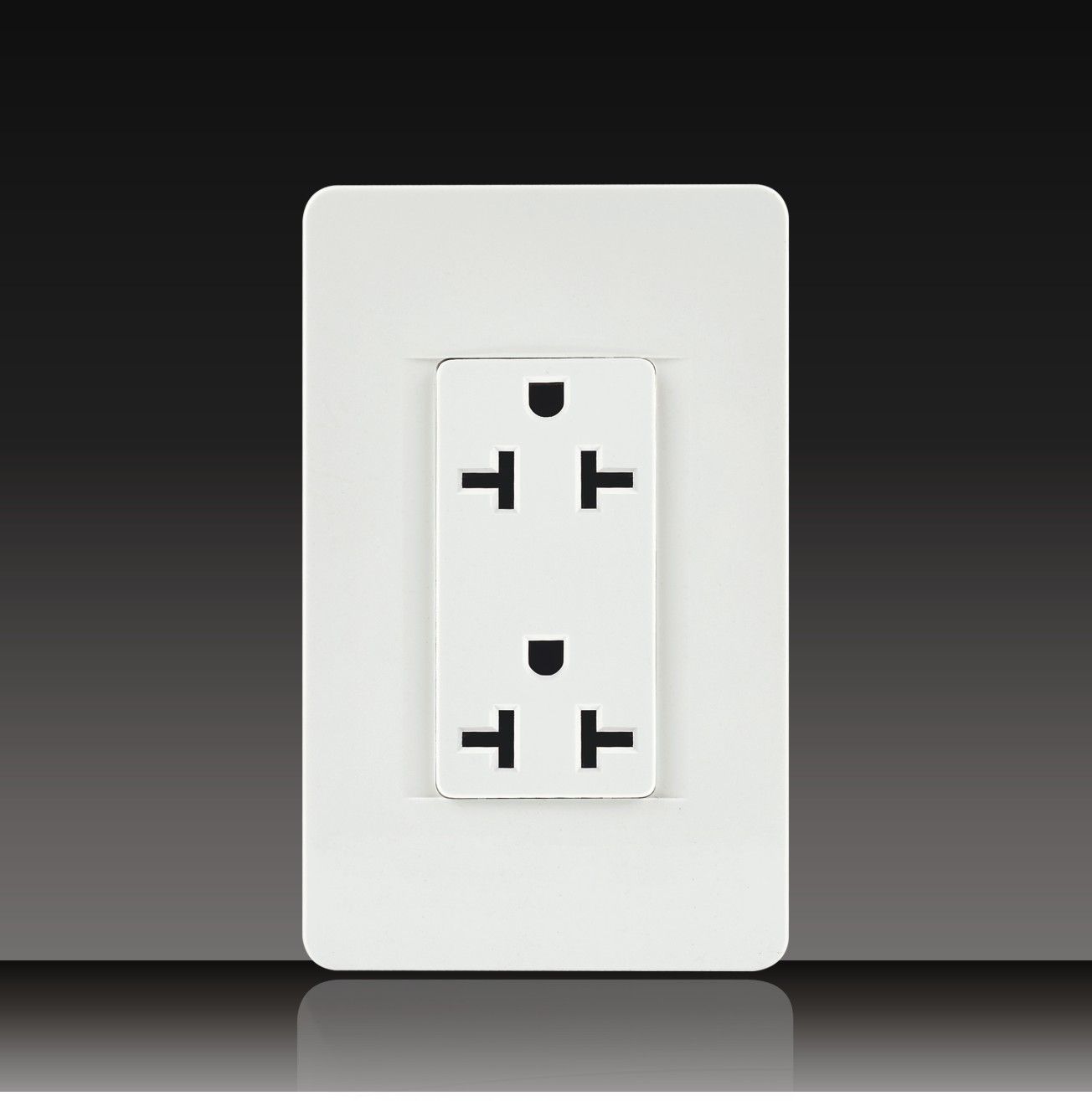 20A Receptacle with Plate (LGL-11-12)
