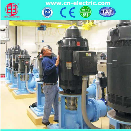 Vertical Hollow Shaft Motor for Deep Well Pump