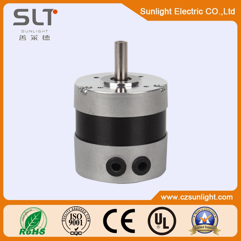 BLDC Motor Controller Brushless Motor with Factory Price