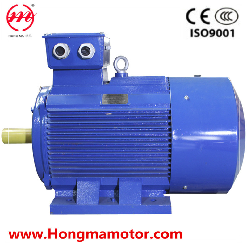 Ie3 Cast Iron Electric Premium Efficiency Motor