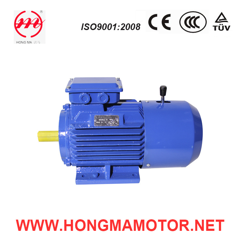 Closed Type Three Phase Asynchronous Induction DC Motor (90S-4-1.1KW)