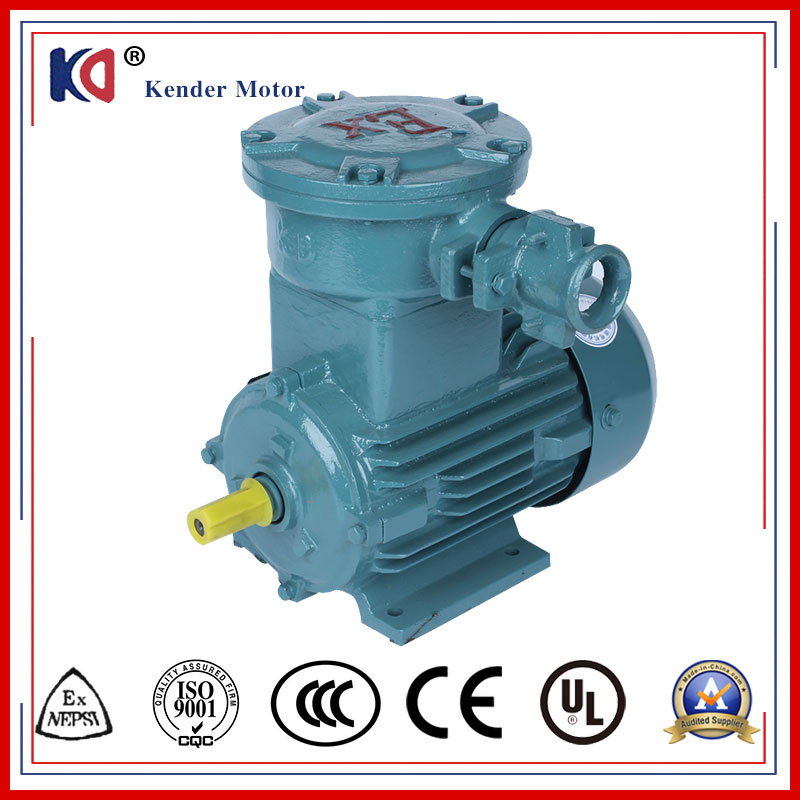 Flame-Proof Asynchronous Motor with 50/60Hz
