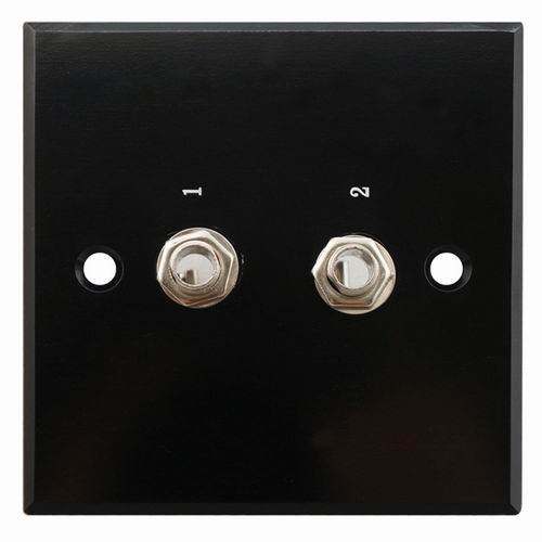 Aluminum AV Wall Socket, Face Plate (9.2069)