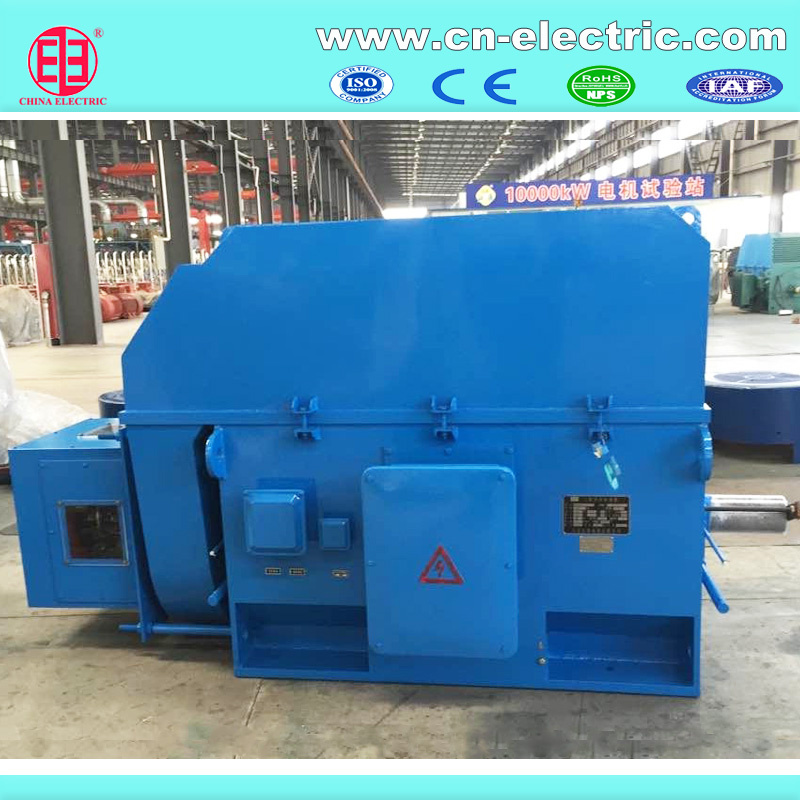 Yr/Yrkk Big High Voltage Induction Motor