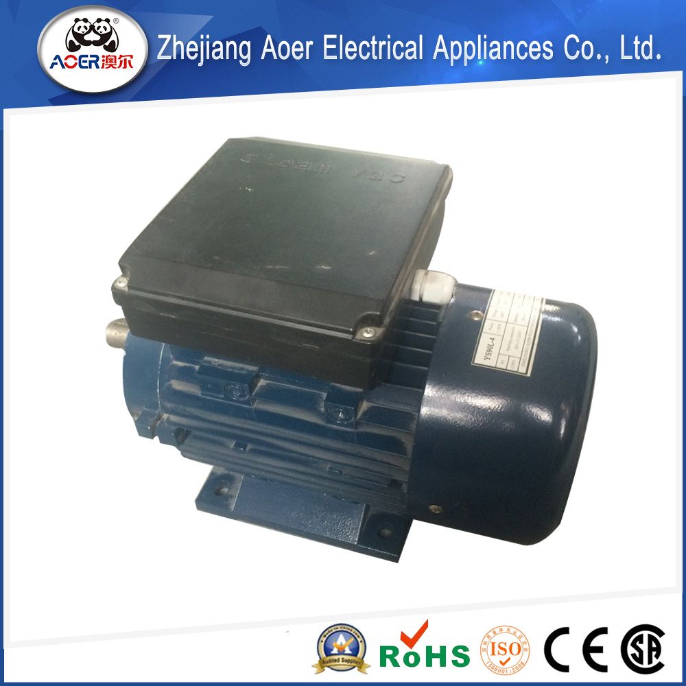 AC Single Phase 240V Low Rpm Electrical Motors