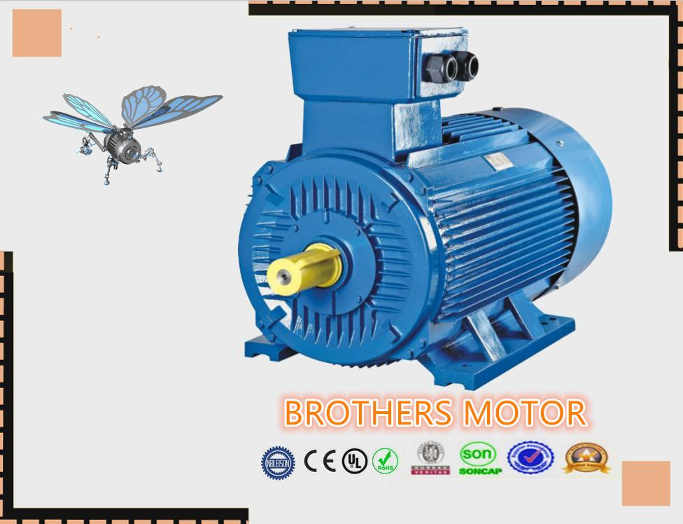 Y3 Series Three-Phase Induction Motor