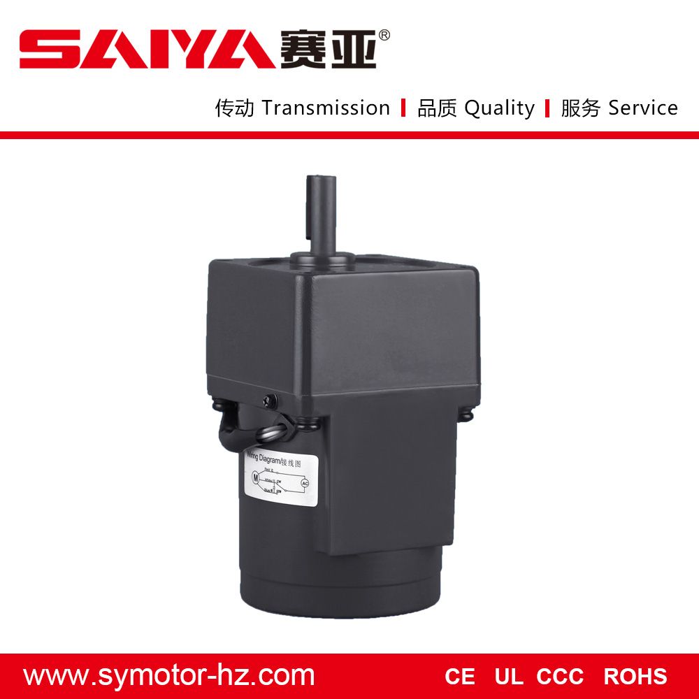 10W AC Induction Motor Without Gearbox
