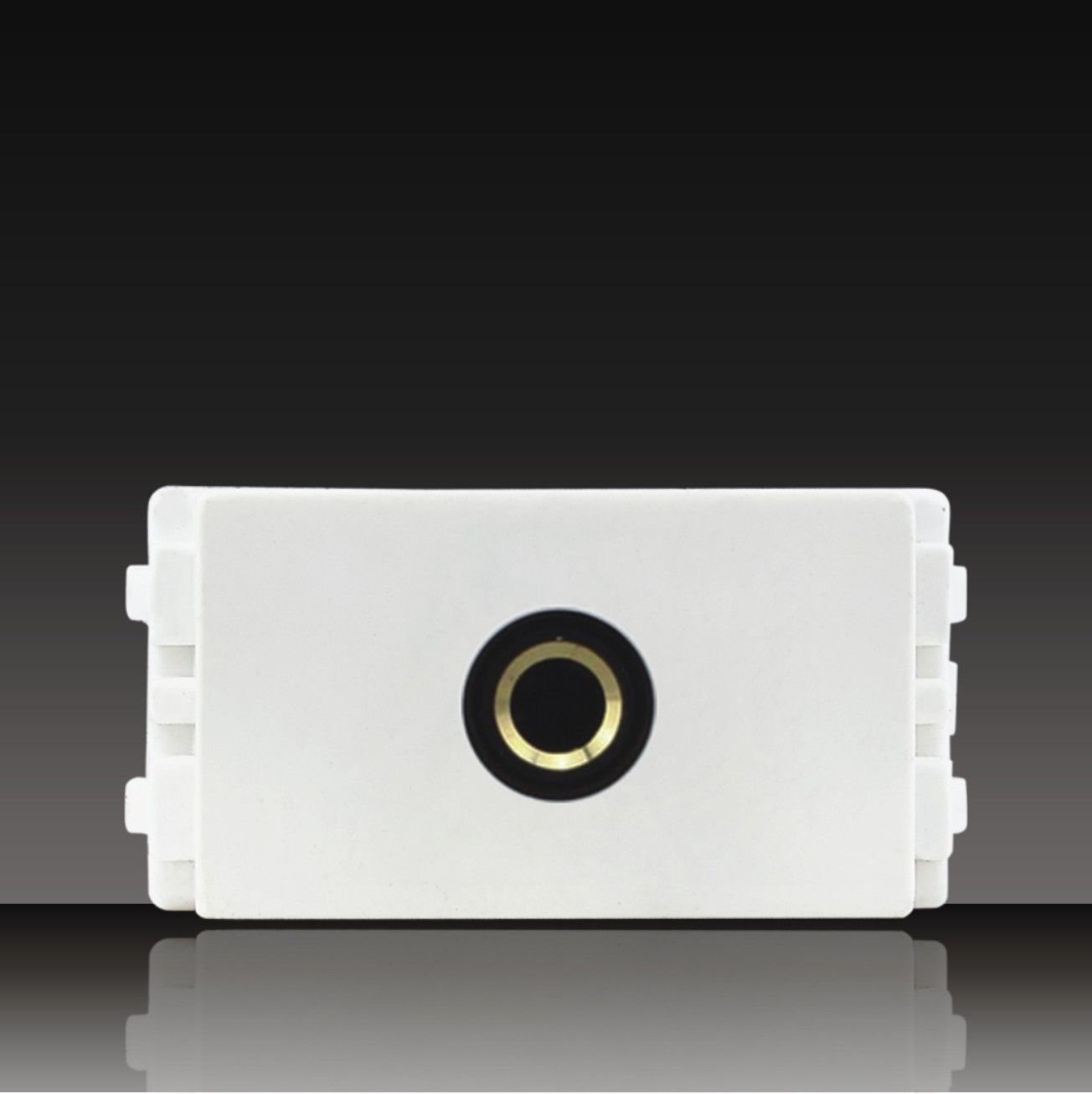 Audio Socket with Famel Plug (LGL-11-54)