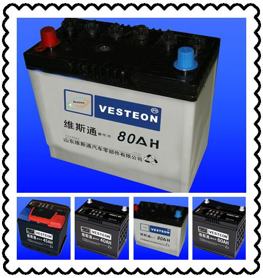 OEM Auto Battery