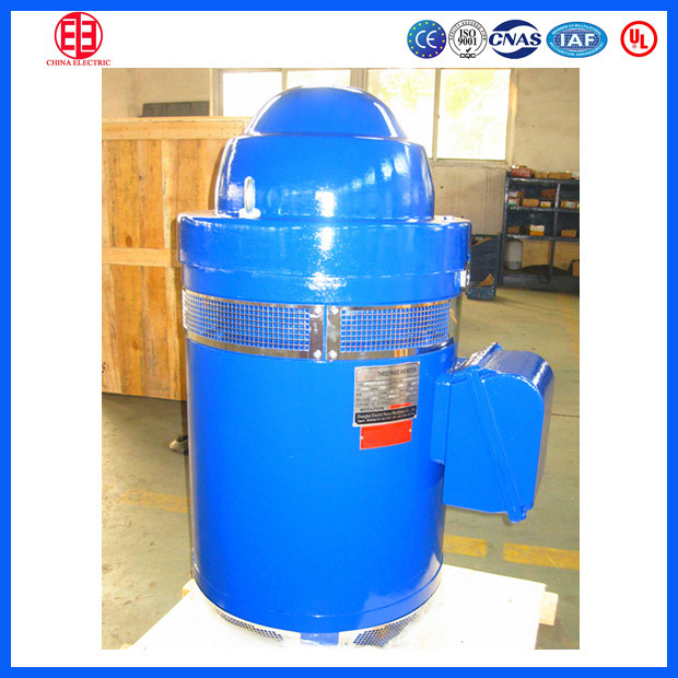 Vhs445tp-4-250s 220V 380V 400V Three Phase Induction Motor