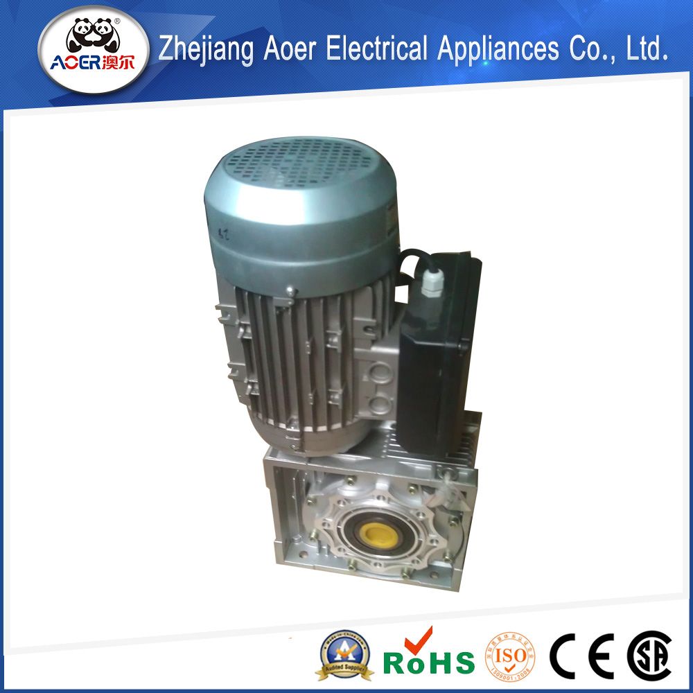 AC Single Phase Asynchronous Concrete Mixer Motor in China