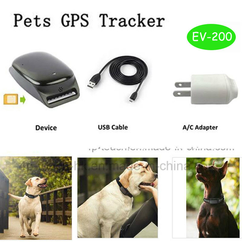 Large Battery Capacity Pet GPS Tracker with Waterproof EV-200