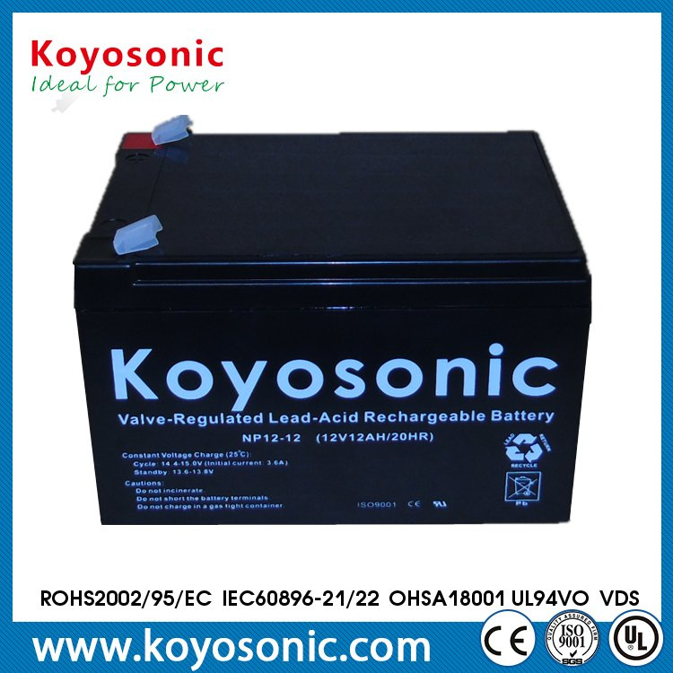12V 12ah Maintenance Free UPS Battery with UL Ce Certifications