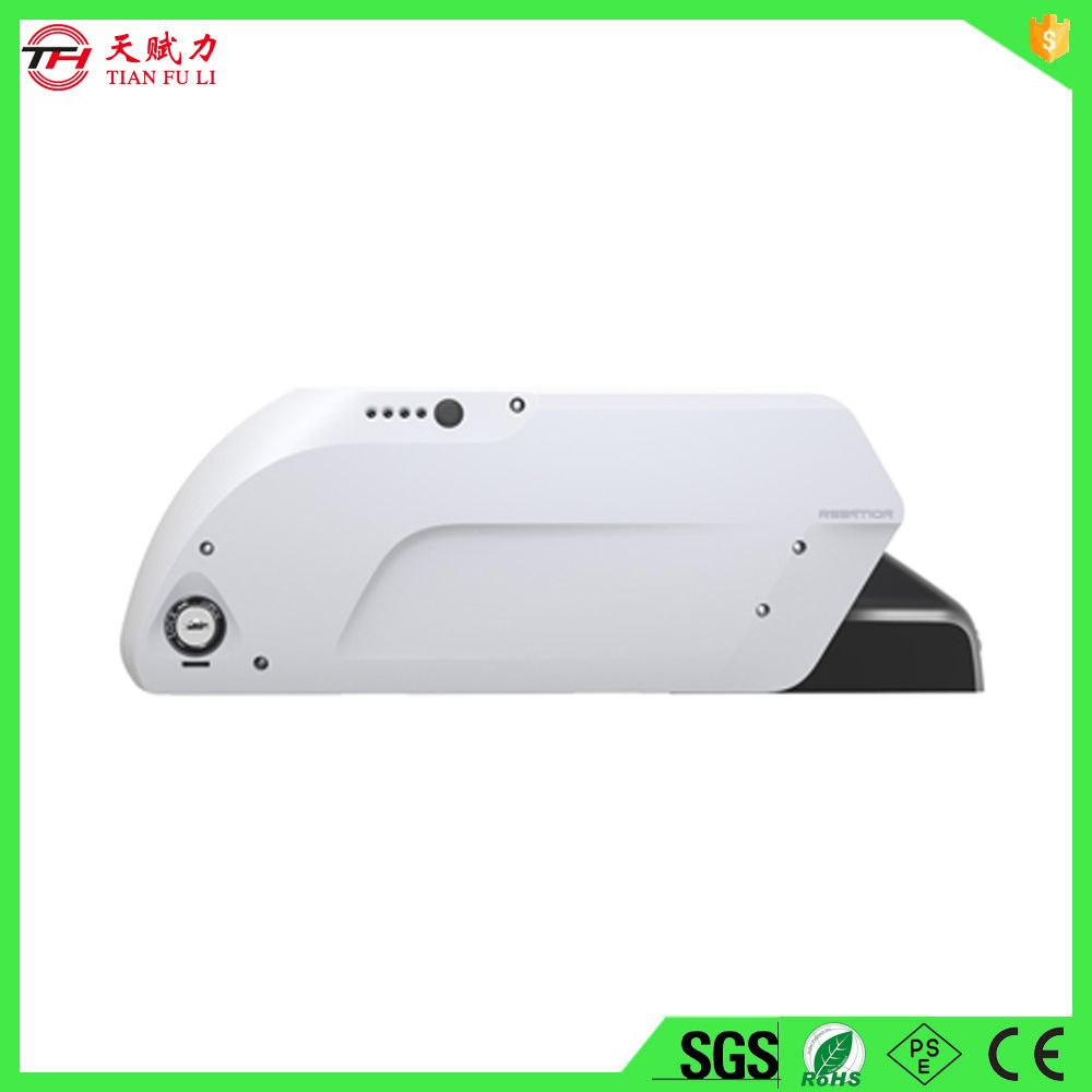 Economical E-Bike Battery 48 Volt Lithium Battery Pack with BMS