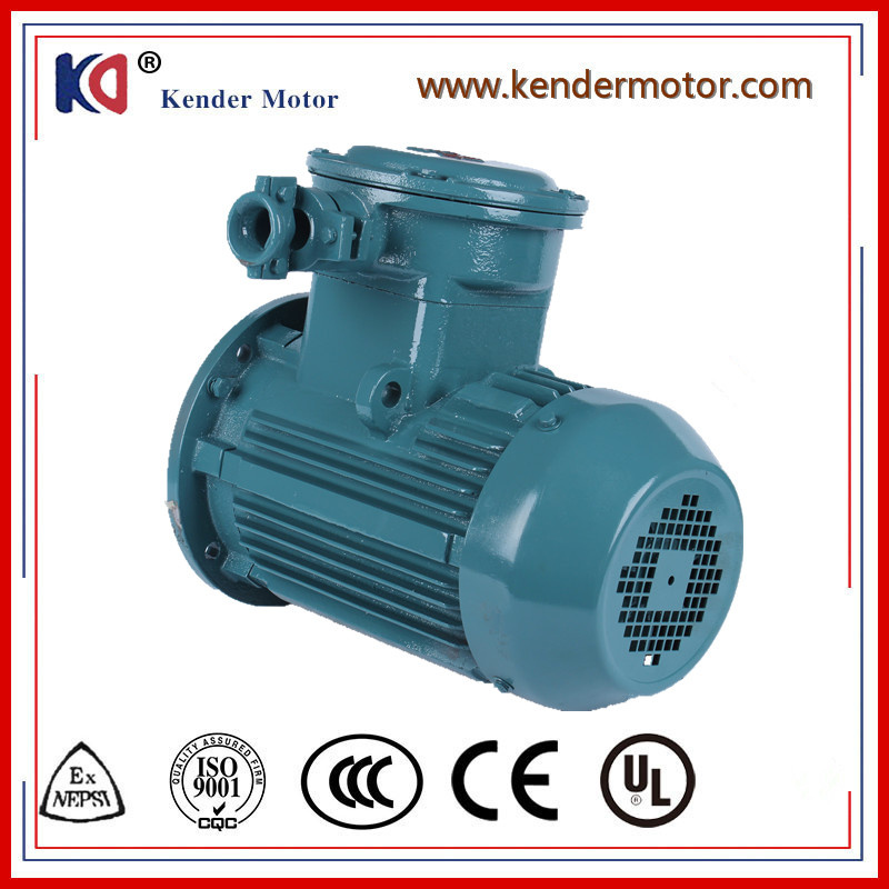 Ex-Proof AC Asynchronous Motor with Factory Price