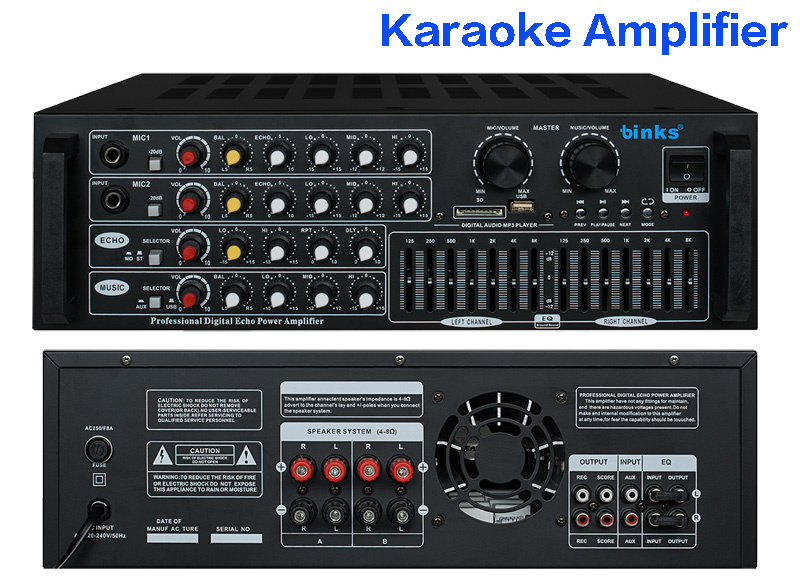 Professional Audio Karaoke Amplifier with EQ EU-2500
