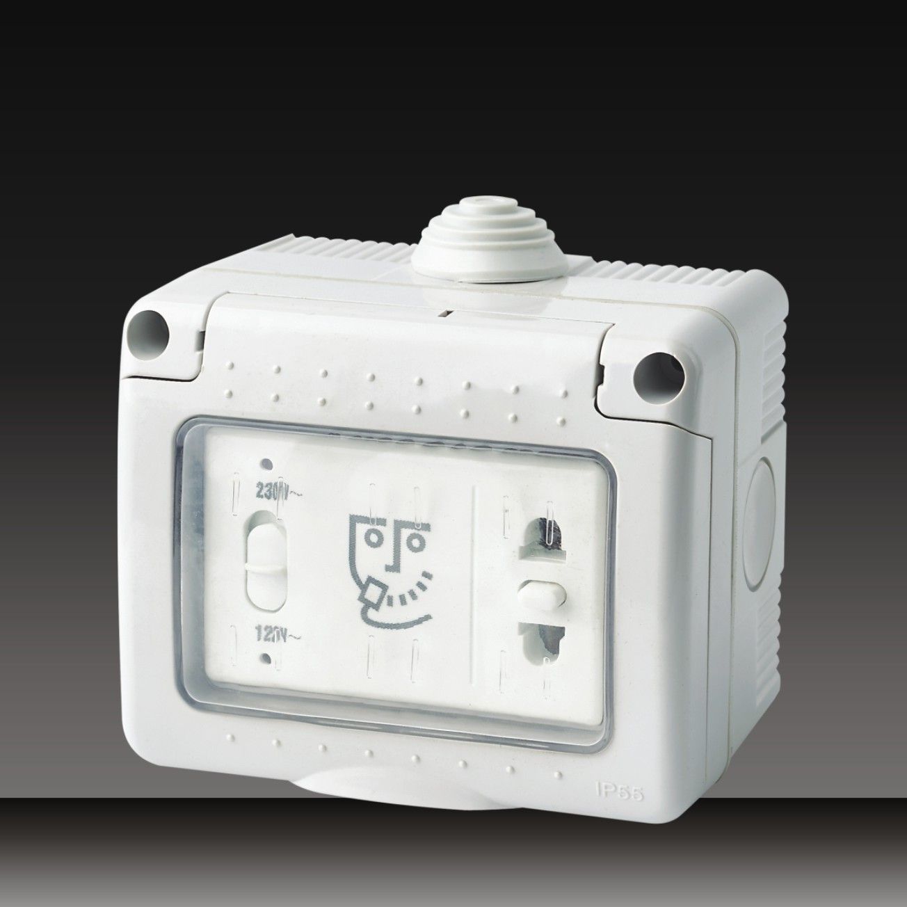110V or 250V Shaver Socket (LGL-T)