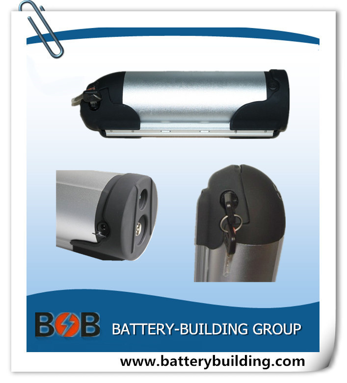 24V 13ah Bottle/Dophin Type Lithium Battery Pack for E-Bike