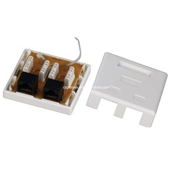 Cat. 6 Surface Mount Box Dual RJ45 8p8c White