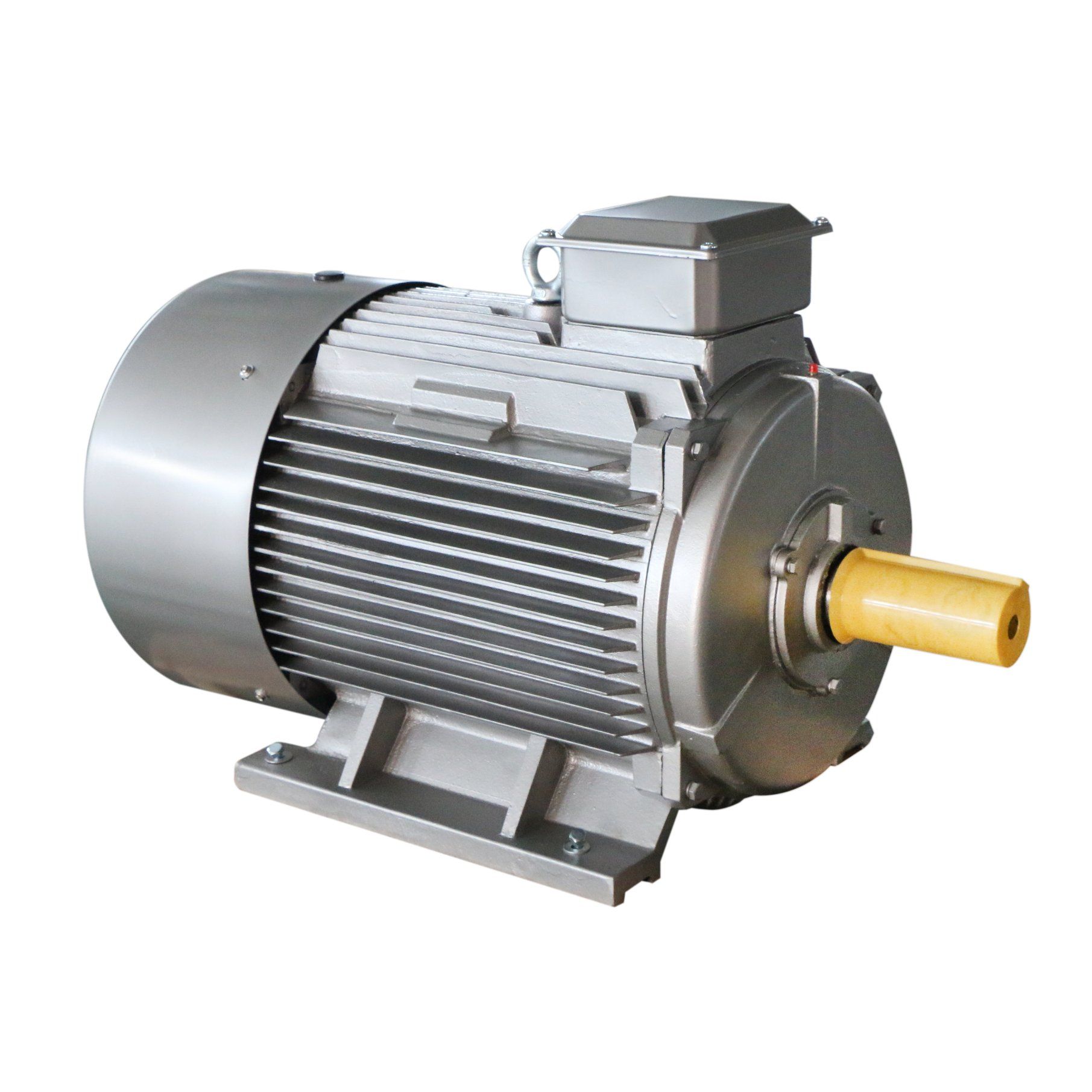 Y2 High Efficiency Three-Phase AC Induction Motor