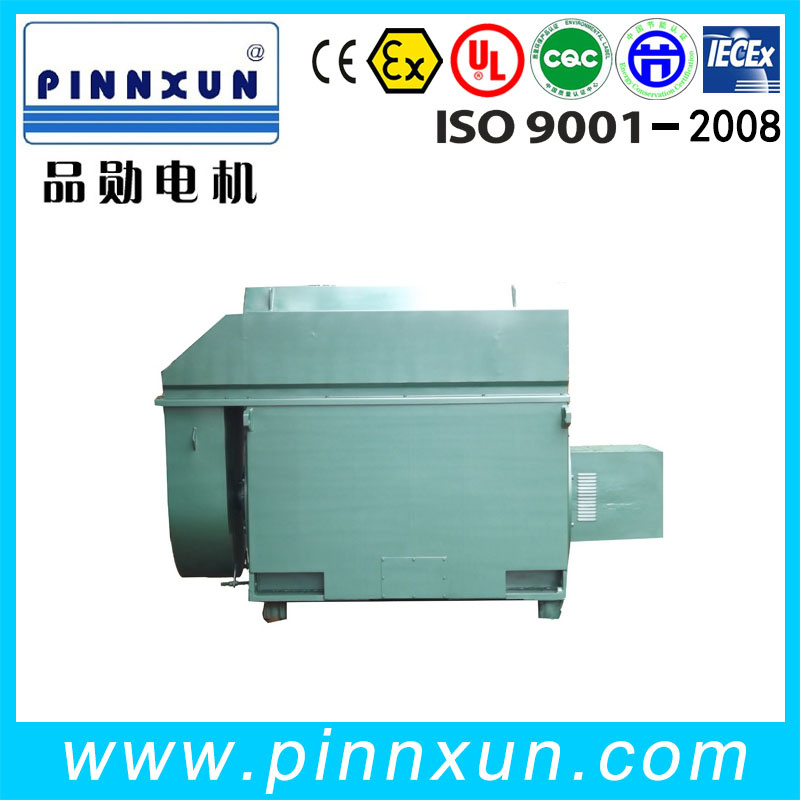 High Voltage AC Slip Ring Motor 1600kw