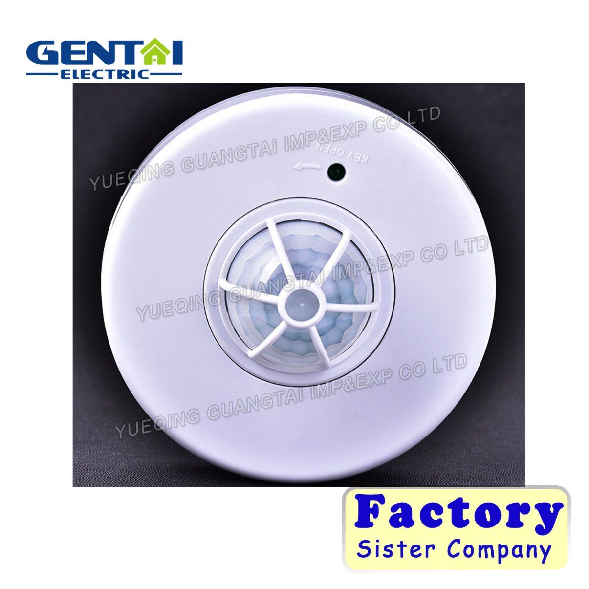 Microwave Motion Detector Sensor with Ce for Light (T06B)