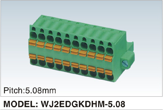 New Developing PCB Terminal Block (WJ2EDGKDHM-5.08mm)
