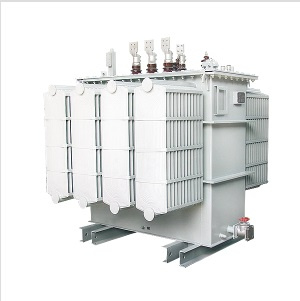 Factory Price of Special Transformer & Power Transformer & Oil Immersed Transformer.