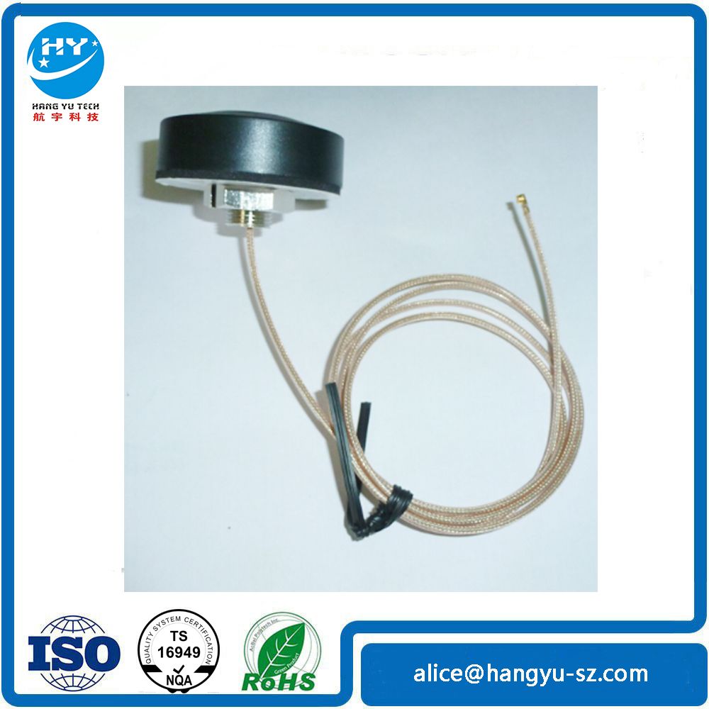 Outdoor 2.4 G WiFi Screw Mount Antenna with 178 Cable
