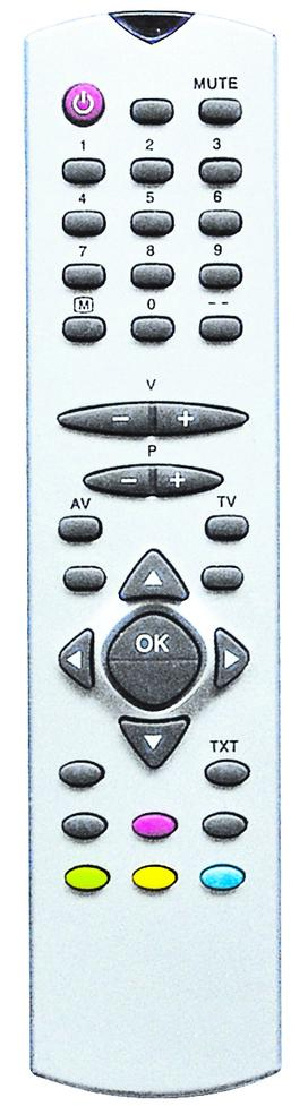 ABS Case TV Remote Control (RC1045)