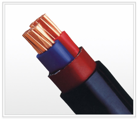 XLPE Insulated and PVC Sheathed Power Cable (YJV)