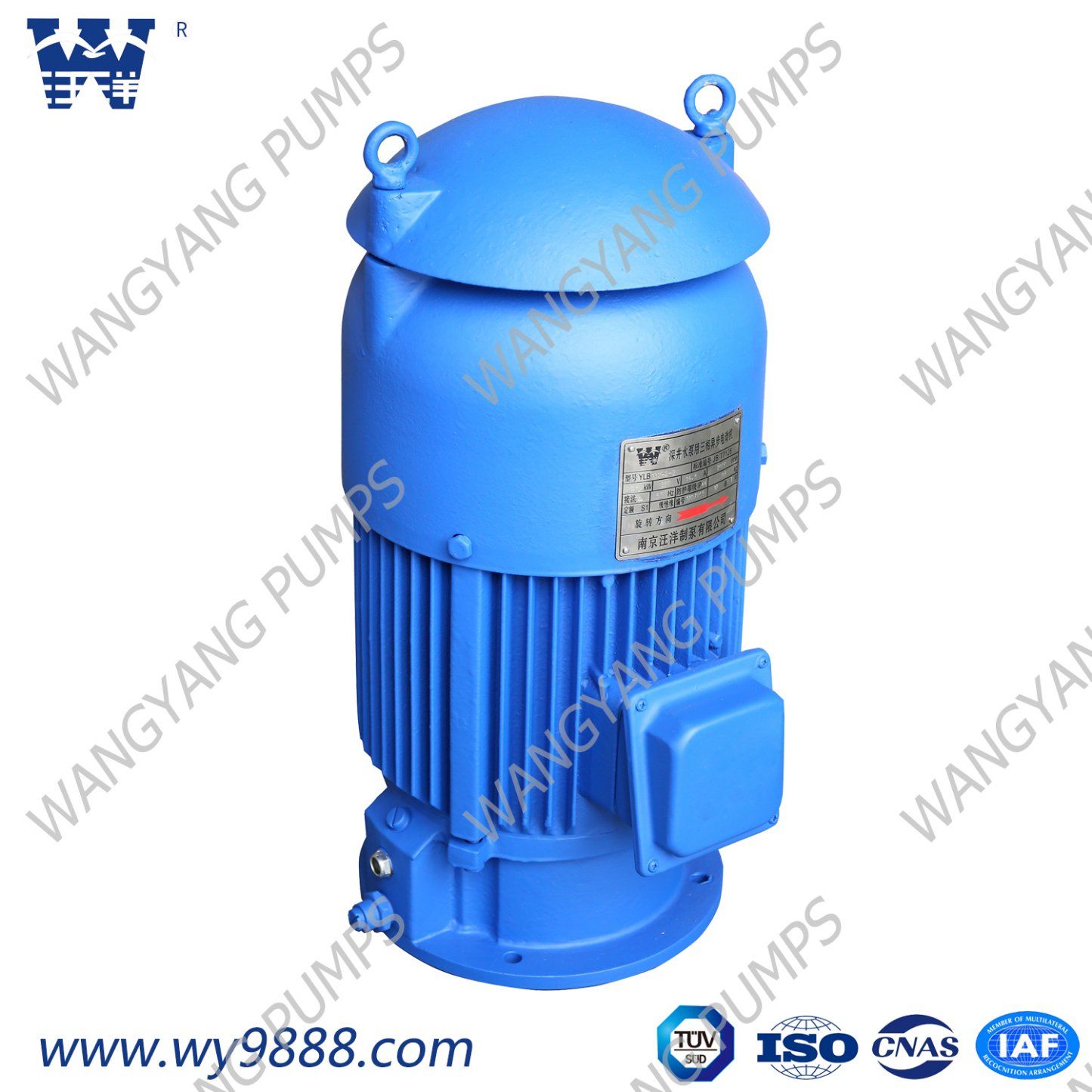 Vertical Hollow-Shaft Asynchronous Water Pump Motor (IP44/IP54)