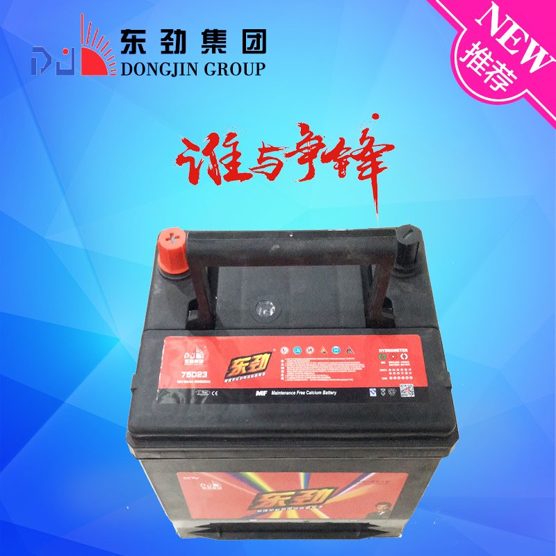 12V60ah High Rate Maintenance Free Electric Car Battery