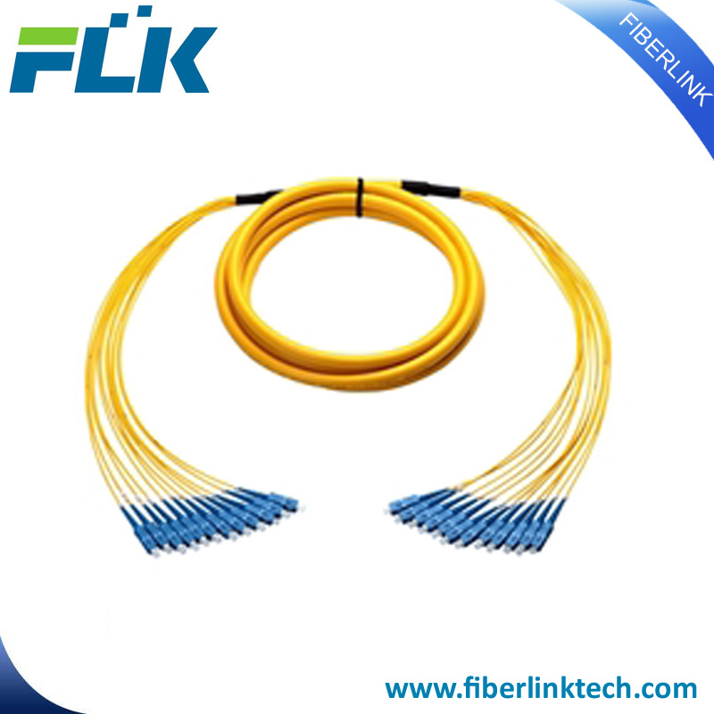 Multi-Cores 12 Cores Distribution Breakout Fiber Optic Patch Cord