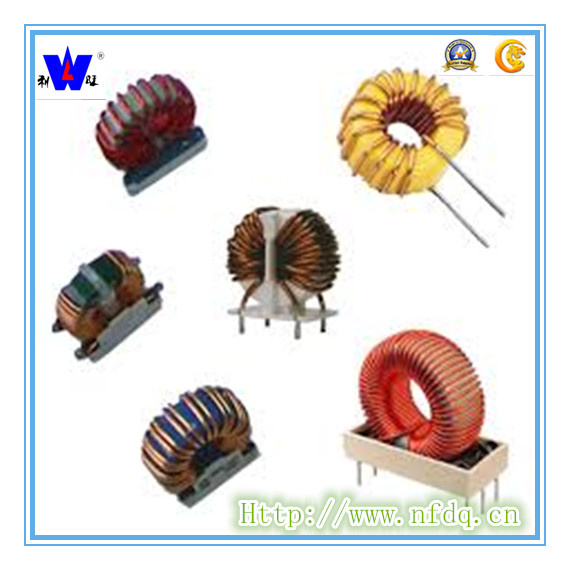Toroidal Choke Coil with ISO9001