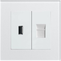 Ce/TUV/BV Certified BS USB+Data Socket